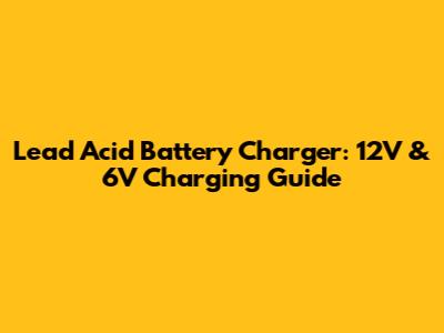Lead Acid Battery Charger: 12V & 6V Charging Guide