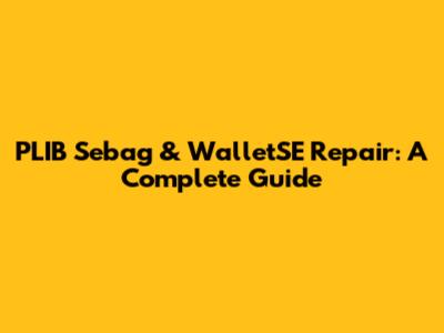 PLIB Sebag & WalletSE Repair: A Complete Guide