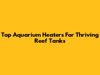 Top Aquarium Heaters For Thriving Reef Tanks